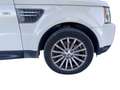 Land Rover Range Rover Sport 3.0TDV6 SE Aut. Blanco - thumbnail 19