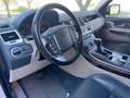 Land Rover Range Rover Sport 3.0TDV6 SE Aut. Blanco - thumbnail 7