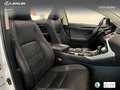 Lexus NX 300 300h Luxury 4WD Blanco - thumbnail 25