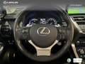 Lexus NX 300 300h Luxury 4WD Blanco - thumbnail 18