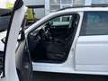 Skoda Kamiq Ambition 1,0l TSI * SHZ LED NAVI RFK* Weiß - thumbnail 8
