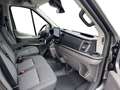 Ford Transit Trend 350 L3H2 AT 9 Si Temp Sync4 AHK 2xKlima K... Grau - thumbnail 9