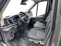 Ford Transit Trend 350 L3H2 AT 9 Si Temp Sync4 AHK 2xKlima K... Grau - thumbnail 11