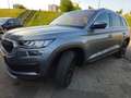 Skoda Kodiaq 1.5 TSI Business Edition Grijs - thumbnail 14