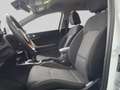 Kia Ceed SW / cee'd SW ceed SW 1,0 T-GDI GPF ISG Silber Weiß - thumbnail 6