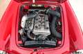 Alfa Romeo Giulietta Spider Veloce | Excellent condition throughout Rot - thumbnail 42