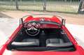Alfa Romeo Giulietta Spider Veloce | Excellent condition throughout Rot - thumbnail 28