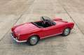 Alfa Romeo Giulietta Spider Veloce | Excellent condition throughout Rot - thumbnail 5