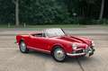 Alfa Romeo Giulietta Spider Veloce | Excellent condition throughout Rot - thumbnail 6