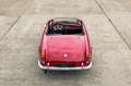 Alfa Romeo Giulietta Spider Veloce | Excellent condition throughout Rot - thumbnail 4