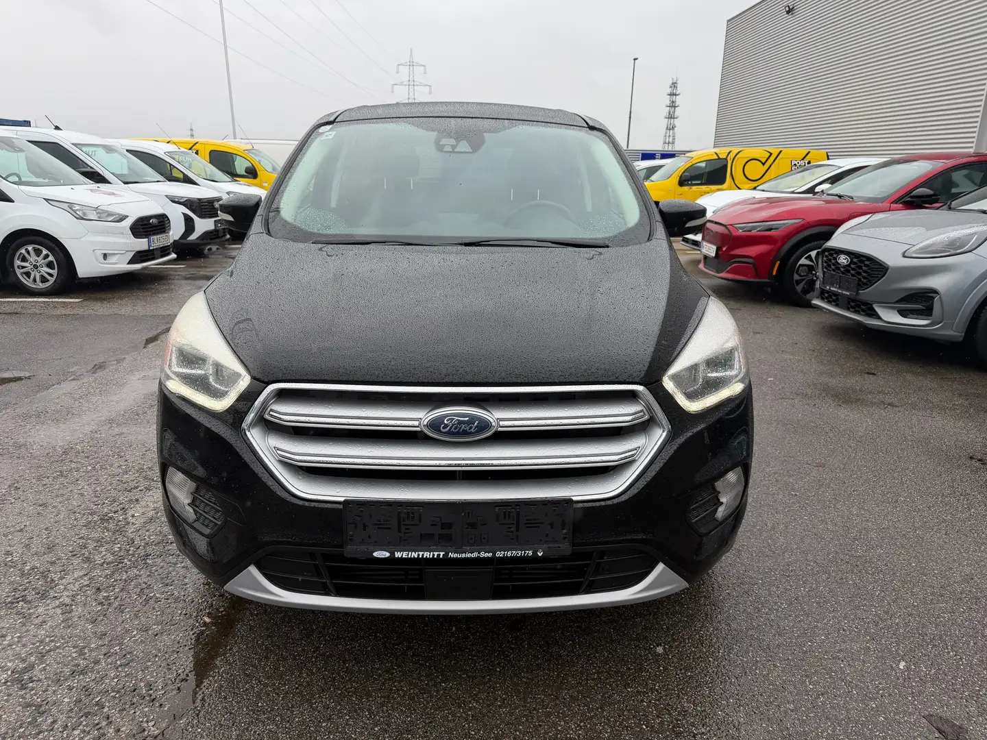 Ford Kuga 2.0 TDCi Titanium AWD Automatik - EXPORT Schwarz - 2