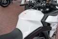 CF Moto 650GT ABS,4 JAHRE WERKSGARANTIE, 2,99% Fin. Weiß - thumbnail 22