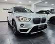 BMW X1 X1 sDrive20d xLine Gris - thumbnail 4