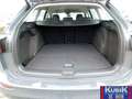 Volkswagen Golf Variant VIII Style 2.0 TDI DSG+Massage+Memory+el Heckklapp Grijs - thumbnail 29
