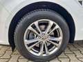 Ford S-Max S-MAX 2.0 TDCI Automatik Titanium AWD Weiß - thumbnail 20