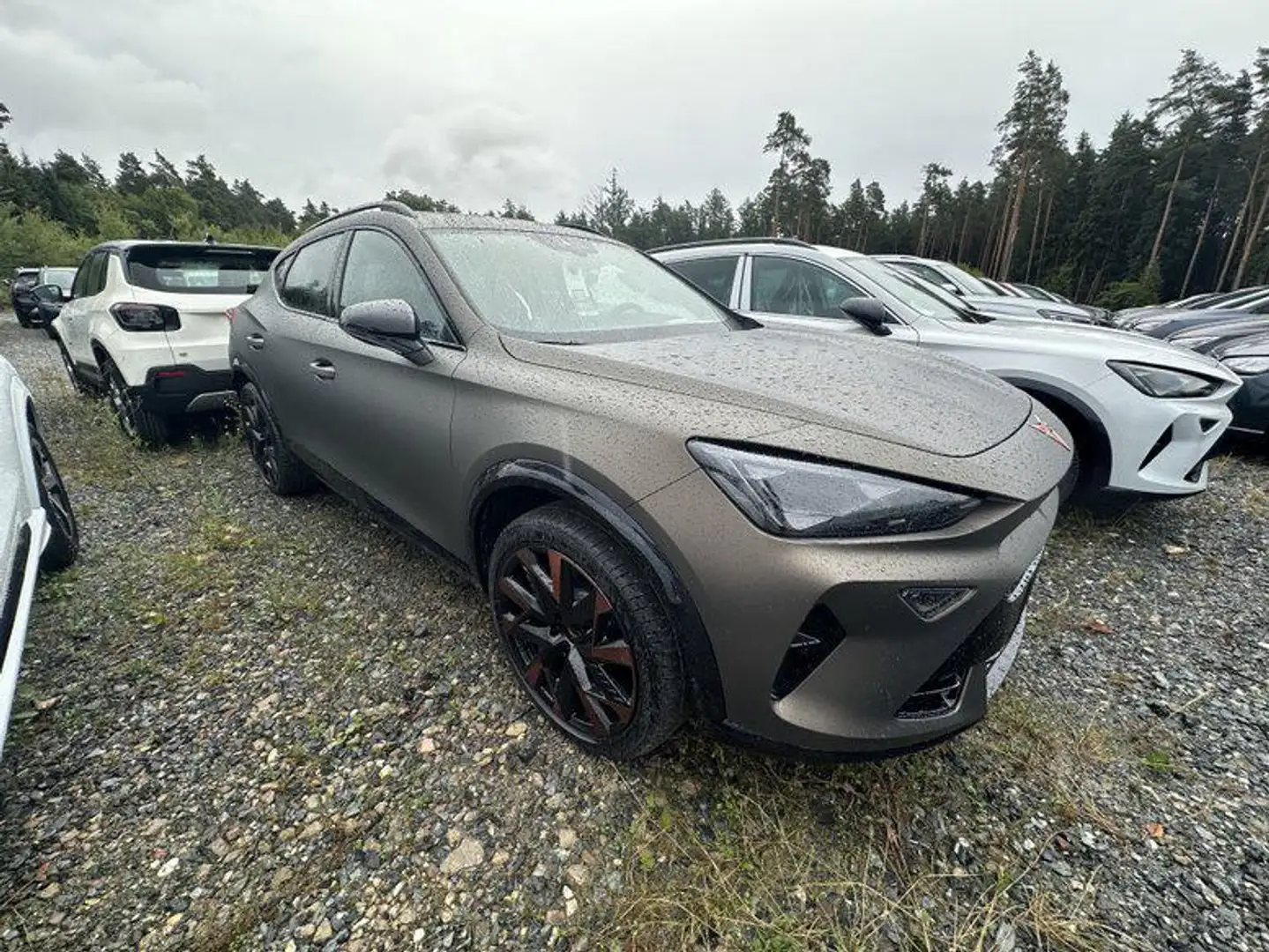CUPRA Formentor VZ 1.5 e-HYBRID 6-Gang-DSG 200 kW (272 PS), Aut... Brąz - 2