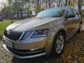 Skoda Octavia Octavia Combi 1.6 TDI DSG Style Beige - thumbnail 10