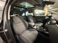 Kia Sorento SORENTO 2.2 CRDi Edition / 7.SITZER/ PANORAMA/ Grau - thumbnail 6