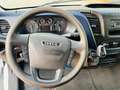 Iveco Daily 35 S14 136CV HI-MATIC L2H2 Bianco - thumbnail 7