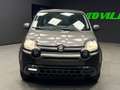 Fiat Panda Panda 1.0 firefly hybrid City Cross s Grau - thumbnail 2
