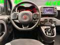Fiat Panda Panda 1.0 firefly hybrid City Cross s Grau - thumbnail 12