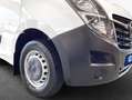 Opel Movano 2.3 D L2H3 2WD VA S&S  Navi*RFC*Cargo1 Wit - thumbnail 5