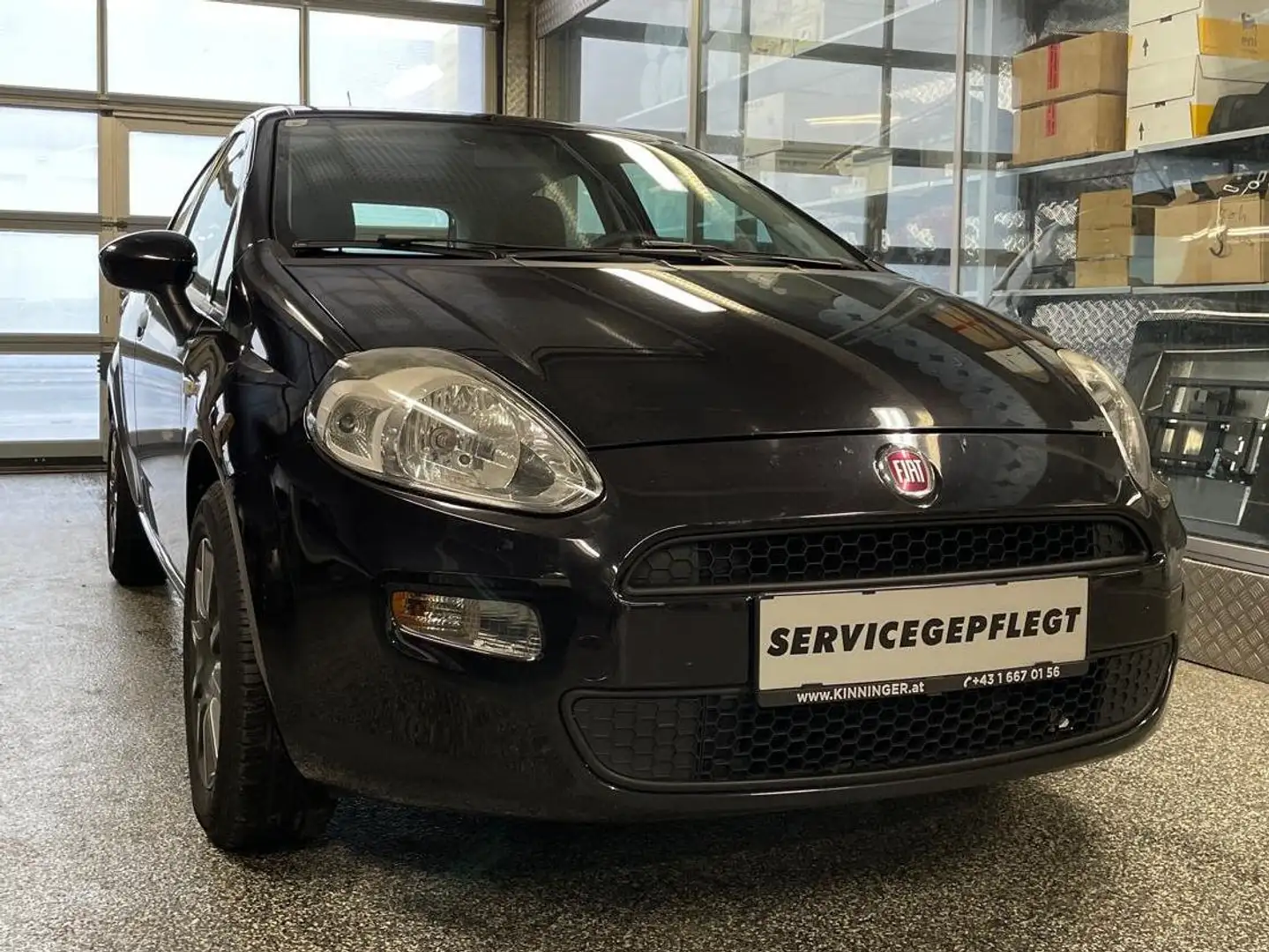 Fiat Punto Punto 1,2 69 Easy Easy Schwarz - 1