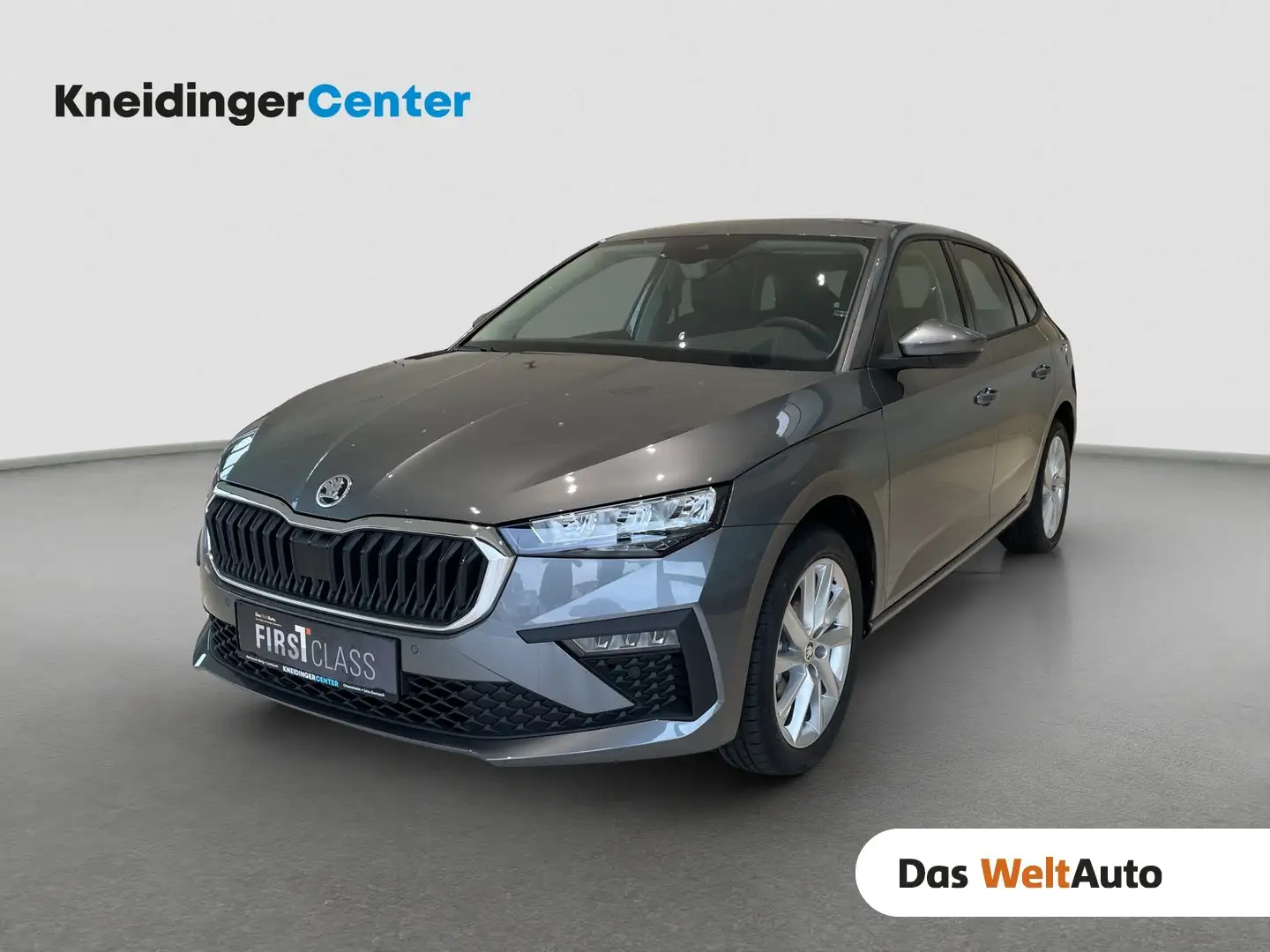 Skoda Scala Selection TSI Grau - 1