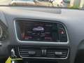 Audi Q5 3.0 TDI SQ5 Quattro Pro Line * SUPER WINTERSPORT A Blau - thumbnail 19