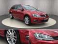 Volkswagen Golf Variant Rabbit 1,6 TDI DSG Rot - thumbnail 7
