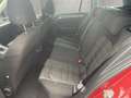 Volkswagen Golf Variant Rabbit 1,6 TDI DSG Rot - thumbnail 24
