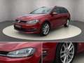 Volkswagen Golf Variant Rabbit 1,6 TDI DSG Rot - thumbnail 8