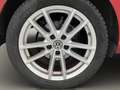 Volkswagen Golf Variant Rabbit 1,6 TDI DSG Rot - thumbnail 14
