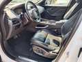 Jaguar F-Pace 25d AWD R-Sport Aut.*LED*WSS-heizung*4x-Sitz-he... Weiß - thumbnail 8