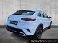 Kia XCeed Xceed 1.5 T-GDI Vision DSG LED NAVI LEDER SHZ Navi Weiß - thumbnail 4