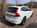 Volvo XC60 R Design AWD Weiß - thumbnail 2