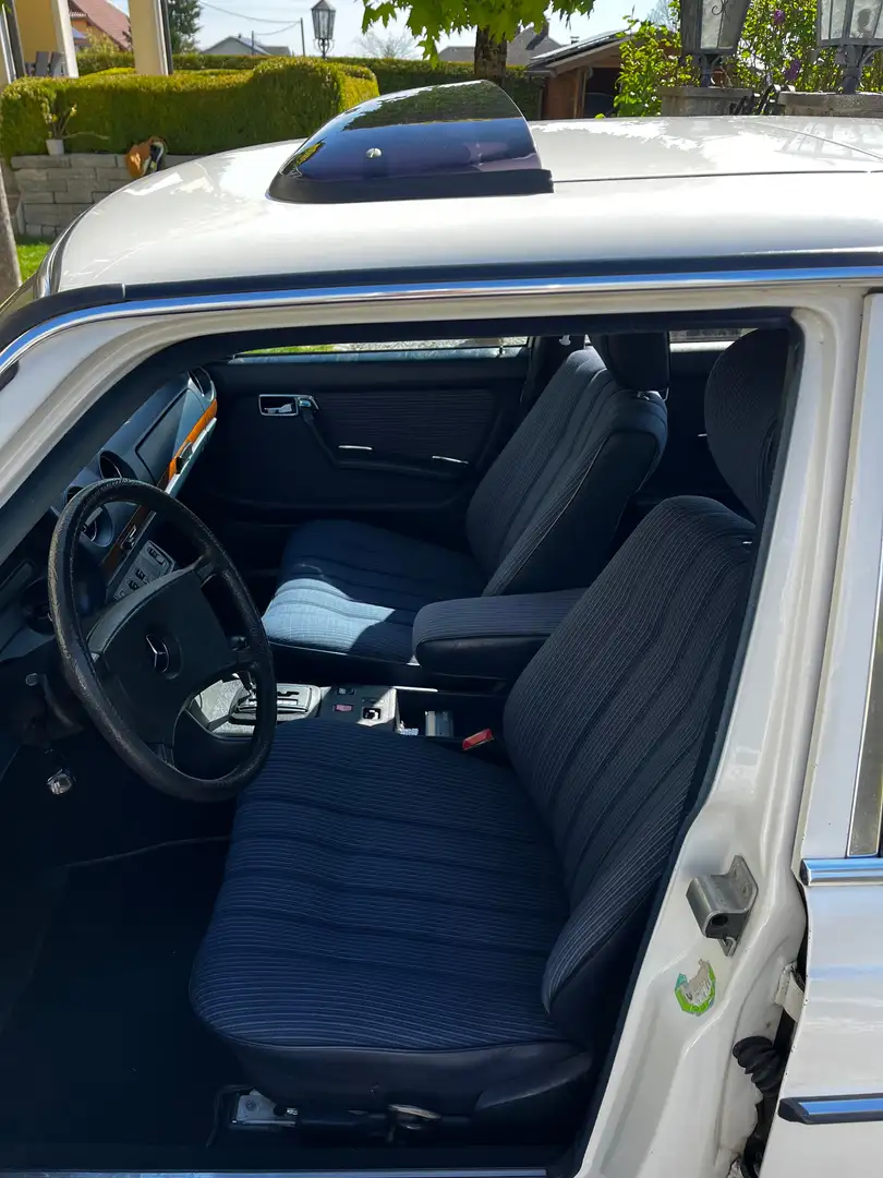 Mercedes-Benz E 230 230 E W123 Weiß - 2