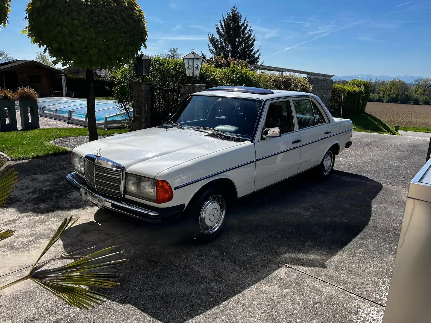 Mercedes-Benz E 230 230 E W123 Weiß - 1