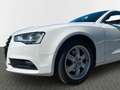 Audi A5 Sportback 2.0 TDI *quattro*Navi*AHK*2.Hand* Blanco - thumbnail 15
