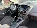 Ford Focus Lim. Titanium Klimaauto. Park-Assist SHZ Grau - thumbnail 15
