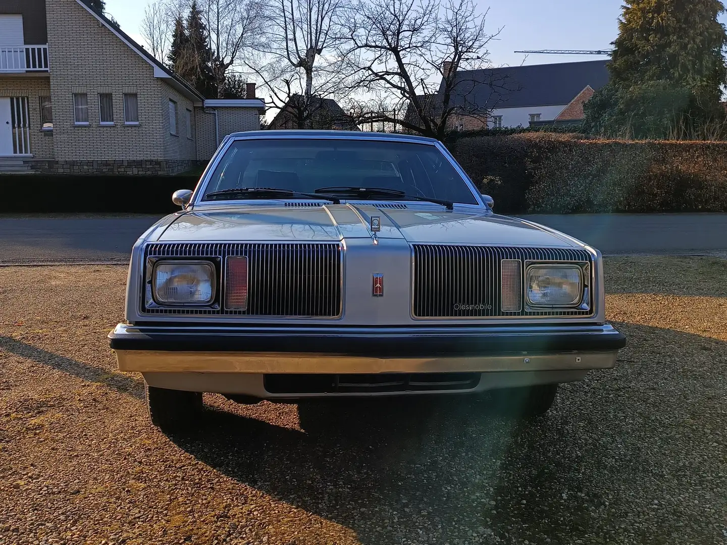 Oldsmobile Omega Plateado - 1