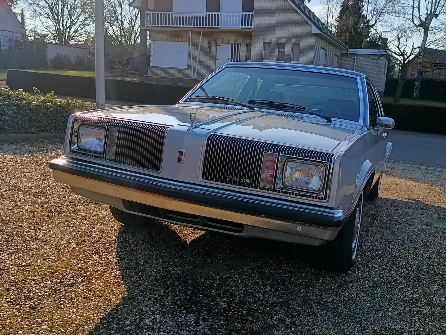 Oldsmobile Omega Plateado - 2
