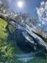 BMW Z4 sDrive 35i -Top- Nero - thumbnail 6