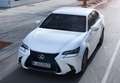 Lexus GS 300 Premium Aut. Blauw - thumbnail 16