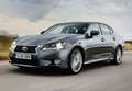 Lexus GS 300 Premium Aut. Blauw - thumbnail 19