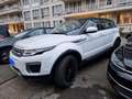 Land Rover Range Rover Evoque 2.0 eD4 2WD HSE Wit - thumbnail 4