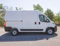 Fiat Ducato 35 2.2 Mjt 140CV PM-TM Furgone Alb - thumbnail 4