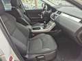 Land Rover Range Rover Evoque Range Rover Evoque 5p 2.0 td4 SE 150cv Bianco - thumbnail 10