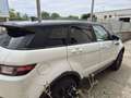 Land Rover Range Rover Evoque Range Rover Evoque 5p 2.0 td4 SE 150cv Bianco - thumbnail 5