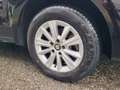 SEAT Alhambra Alhambra Business 2,0 TDI CR DSG Business Schwarz - thumbnail 10
